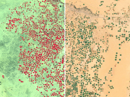 Examples for different usecases of Sentinel-2 data